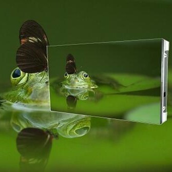 window led display